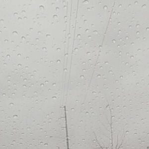 Meet your Posher, Eva